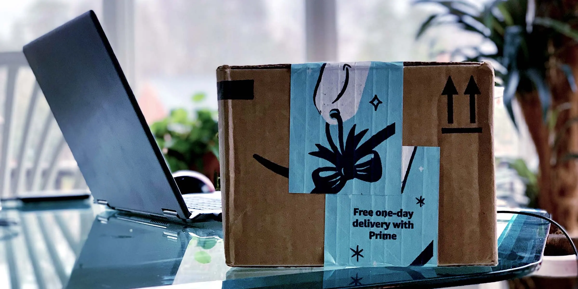 Dropshipping or Amazon FBA