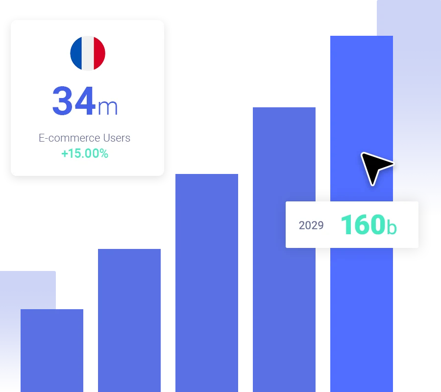 Dropshipping profits in France